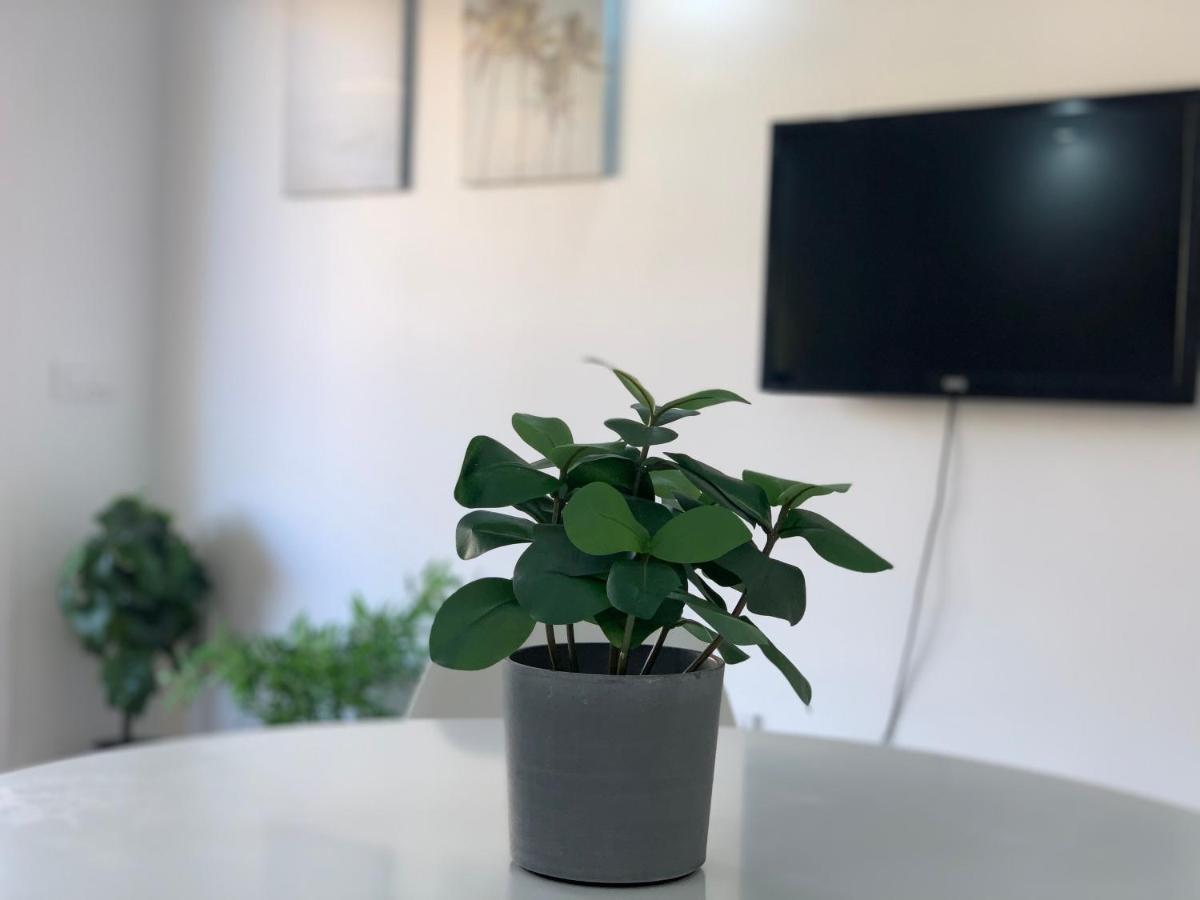 Fantastic Apartment. Los Cristianos. Free Wifi. Los Cristianos  Eksteriør bilde